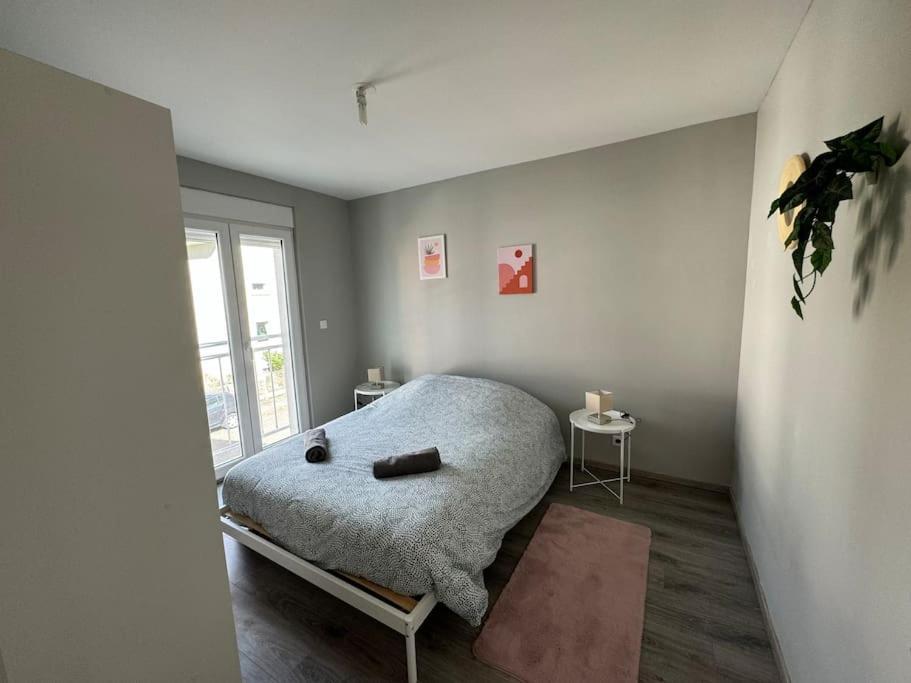 Instant Cosy Lägenhet Strasbourg Exteriör bild